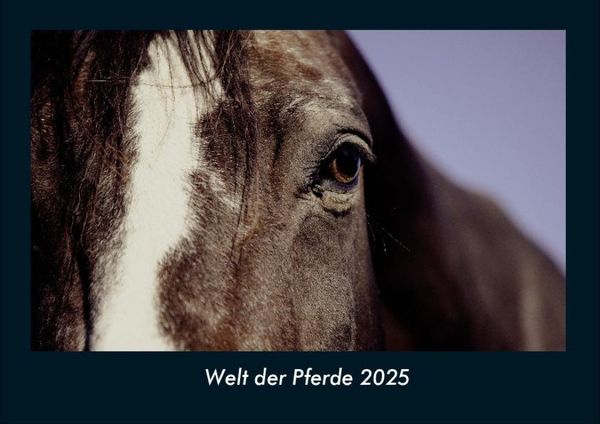 Welt der Pferde 2025 Fotokalender DIN A4