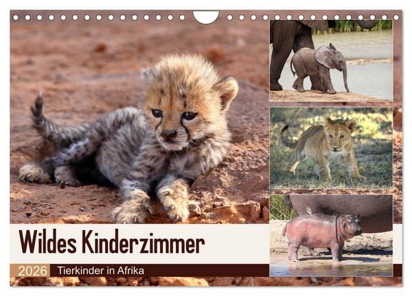 Wildes Kinderzimmer - Tierkinder in Afrika (Wandkalender 2026 DIN A4 quer), CALVENDO Monatskalender
