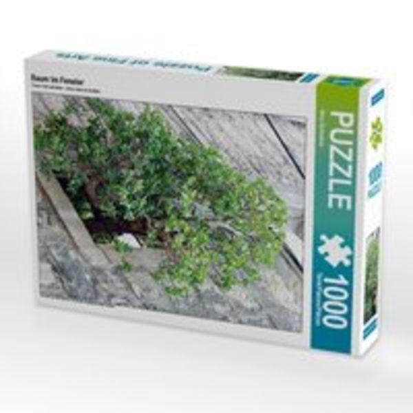 CALVENDO Puzzle Baum im Fenster 1000 Teile Lege-Größe 48 x 64 cm Foto-Puzzle Bild von Nina Schwarze