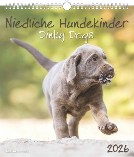 Niedliche Hundekinder 2026 - Wand-Kalender - Tier-Kalender - 30x34