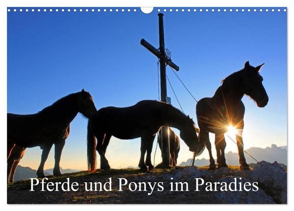 Pferde und Ponys im Paradies (Wandkalender 2026 DIN A3 quer), CALVENDO Monatskalender