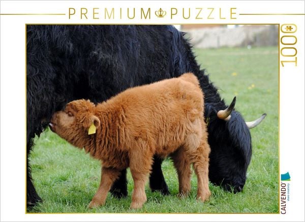 CALVENDO Puzzle Das hungrige Jungtier schätzt nicht nur den Schutz durch die Mutter, sondern auch ihre Milch. | 1000 Teile Lege-Größe 64x48cm Foto-Puz