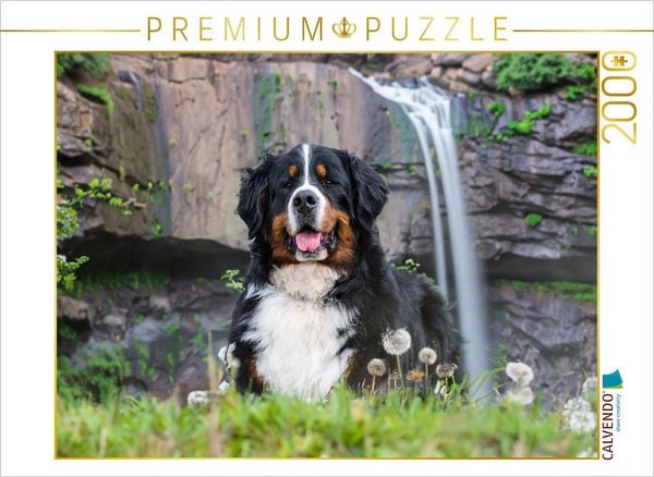 CALVENDO Puzzle Ein Plätzchen im Schatten | 2000 Teile Lege-Größe 90x67cm Foto-Puzzle für glückliche Stunden