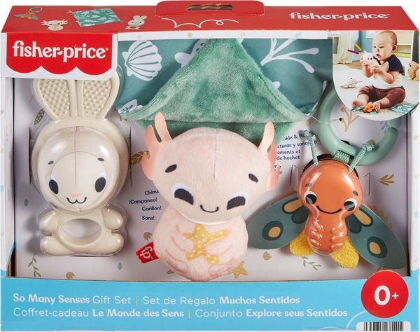 Fisher-Price Sensorische Erlebnisse Geschenkset, 4 sensorische Spielzeuge mit feinmotorischen Aktivitäten für Babys