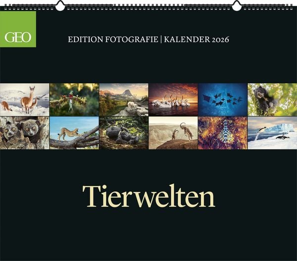GEO Edition: Tierwelten 2026 - Wand-Kalender - Tier-Kalender