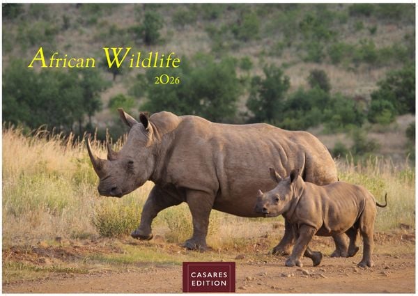 Wilde Tiere Afrikas Kalender 2026 – Wandkalender | Fotokalender Afrika 35x50cm | Naturfotografie | Tierkalender Afrika | Geschenk für Naturliebhaber