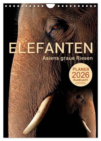 ELEFANTEN - Asiens graue Riesen (Wandkalender 2026 DIN A4 hoch), CALVENDO Monatskalender