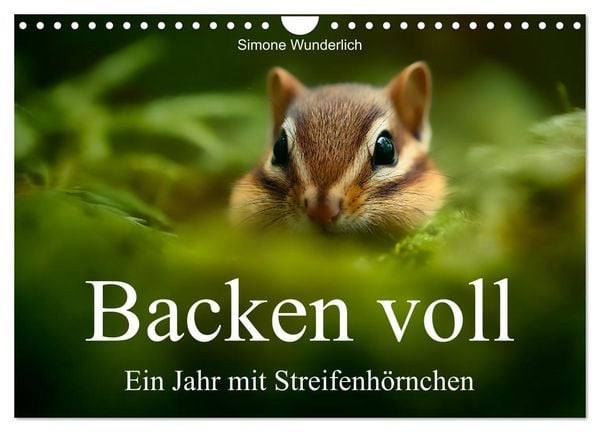 Backen voll - Ein Jahr mit Streifenhörnchen (Wandkalender 2026 DIN A4 quer), CALVENDO Monatskalender