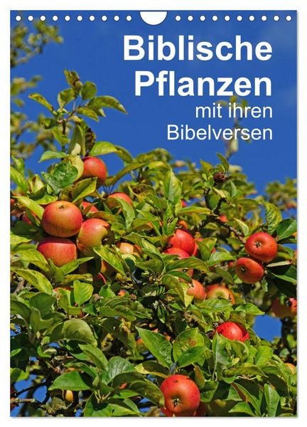 Biblische Pflanzen mit ihren Bibelversen (Wandkalender 2026 DIN A4 hoch), CALVENDO Monatskalender