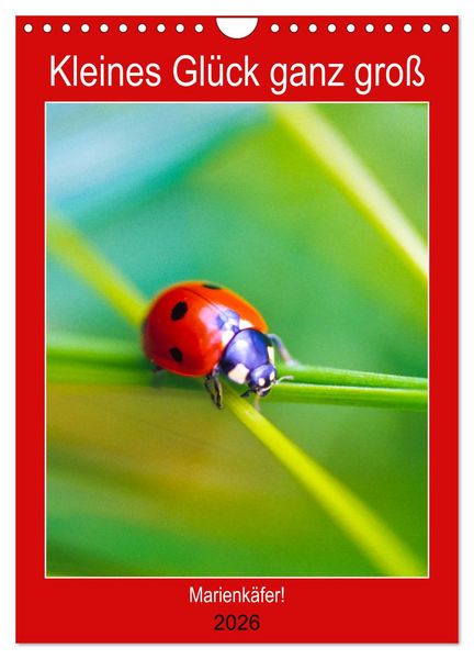 Kleines Glück ganz groß: Marienkäfer! (Wandkalender 2026 DIN A4 hoch), CALVENDO Monatskalender