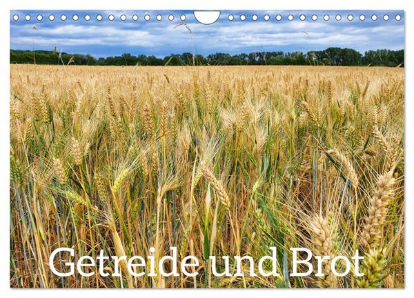 Getreide und Brot (Wandkalender 2026 DIN A4 quer), CALVENDO Monatskalender