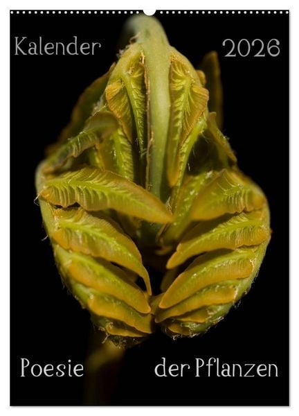 Poesie der Pflanzen (Wandkalender 2026 DIN A2 hoch), CALVENDO Monatskalender