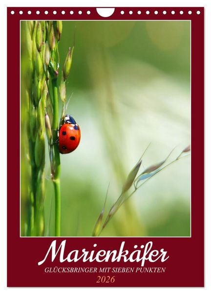 Marienkäfer, Glücksbringer mit sieben Punkten (Wandkalender 2026 DIN A4 hoch), CALVENDO Monatskalender