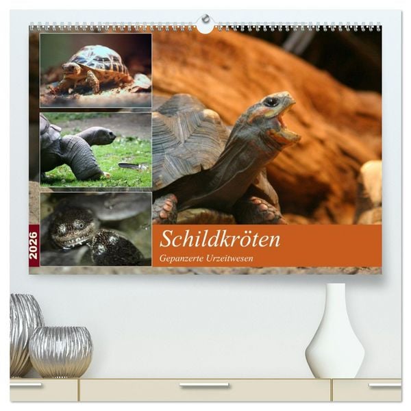 Schildkröten - Gepanzerte Urzeitwesen (hochwertiger Premium Wandkalender 2026 DIN A2 quer), Kunstdruck in Hochglanz