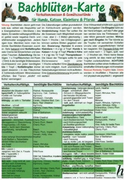 Bachblüten-Karte für Hunde, Katzen, Kleintiere und Pferde. DIN A5