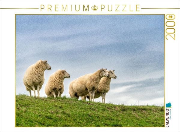 CALVENDO Puzzle Ein Motiv aus dem Kalender Naturerlebnis Rømø | 2000 Teile Lege-Größe 90x67cm Foto-Puzzle für glückliche Stunden