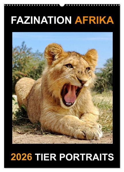 FAZINATION AFRIKA TIER PORTRAITS (Wandkalender 2026 DIN A2 hoch), CALVENDO Monatskalender