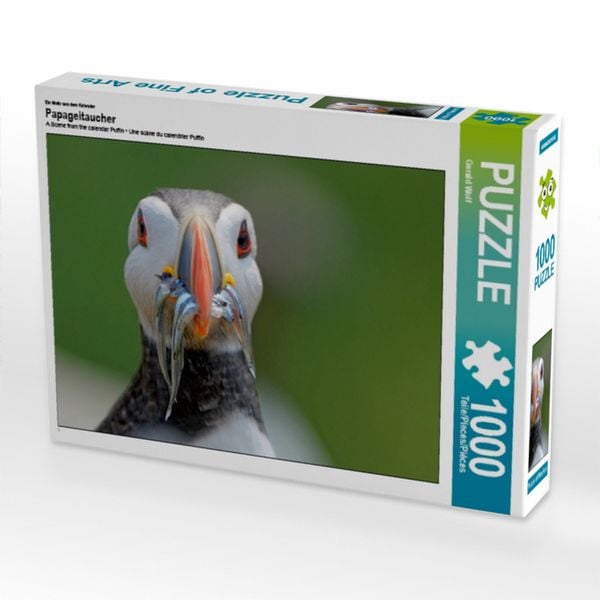 Ein Motiv aus dem Kalender Papageitaucher (Puzzle)