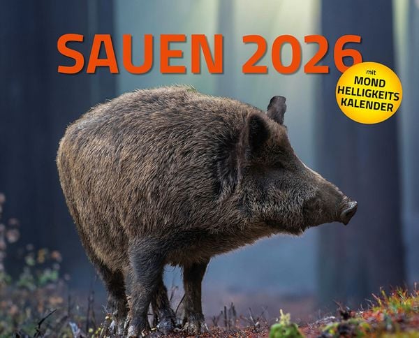 Sauen Kalender 2026 Jagd-Kalender im XXL-Format