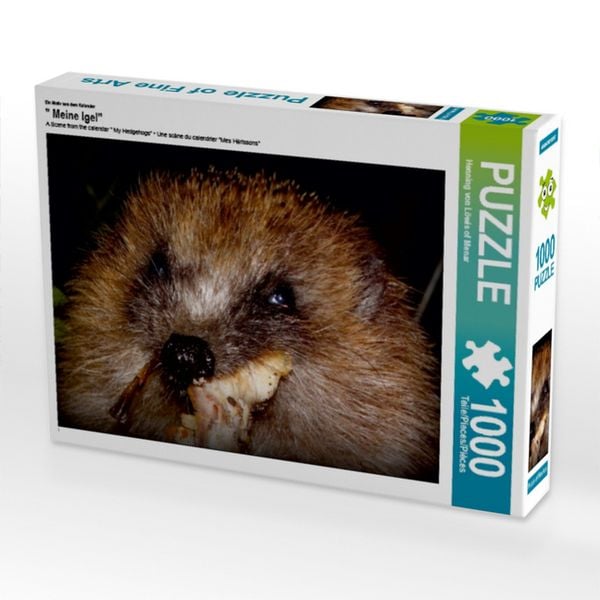 'Ein Motiv aus dem Kalender '' Meine Igel'' (Puzzle)'