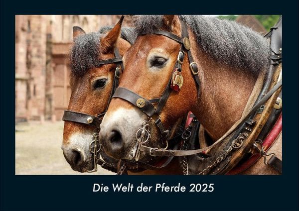 Die Welt der Pferde 2025 Fotokalender DIN A4