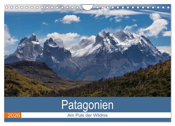 Patagonien - Am Puls der Wildnis (Wandkalender 2026 DIN A4 quer), CALVENDO Monatskalender