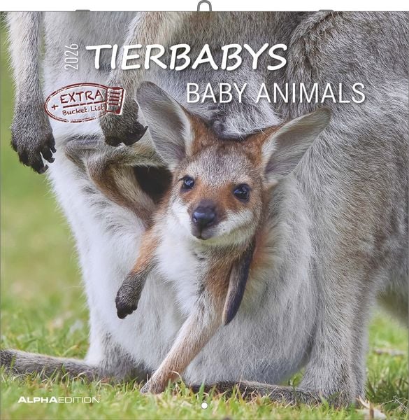 Alpha Edition - Tierbabys Kalender 2026 – Wandkalender 30×30 cm (30×60 geöffnet) als Broschürenkalender mit 12 Tiermotiven, Kalender mit Platz für Not