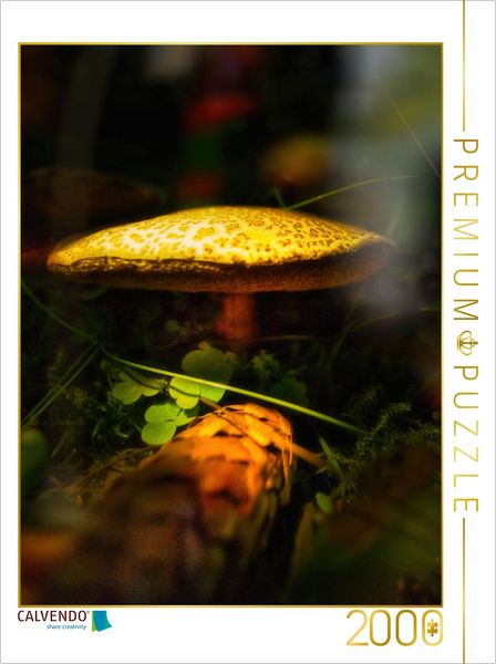 CALVENDO Puzzle Das Besondere sehen | 2000 Teile Lege-Größe 90x67cm Foto-Puzzle für glückliche Stunden