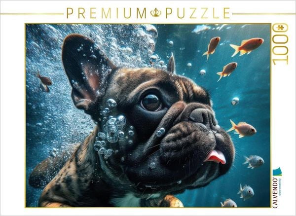CALVENDO Puzzle Eine Französische Bulldogge taucht mit Fischen | 1000 Teile Lege-Größe 64x48cm Foto-Puzzle für glückliche Stunden