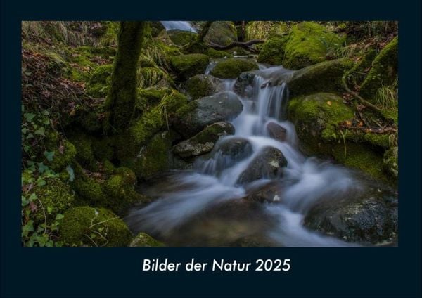 Bilder der Natur 2025 Fotokalender DIN A4