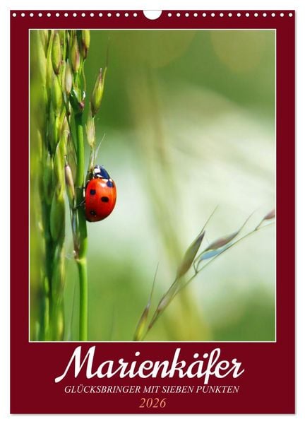 Marienkäfer, Glücksbringer mit sieben Punkten (Wandkalender 2026 DIN A3 hoch), CALVENDO Monatskalender
