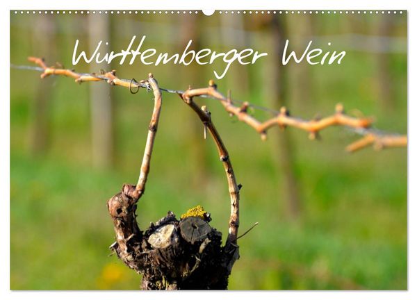 Württemberger Wein 2026 (Wandkalender 2026 DIN A2 quer), CALVENDO Monatskalender