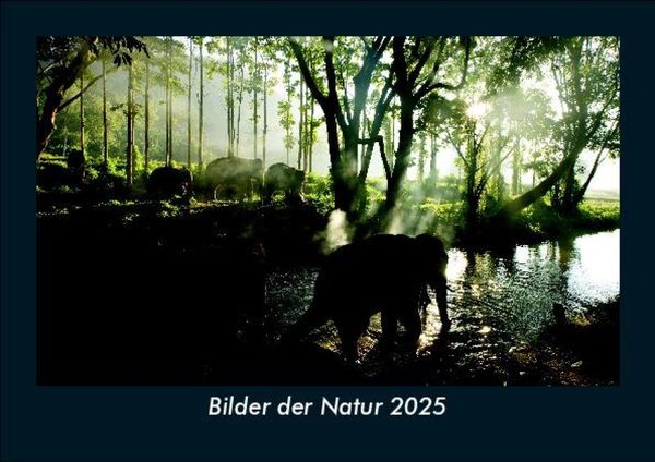 Bilder der Natur 2025 Fotokalender DIN A5