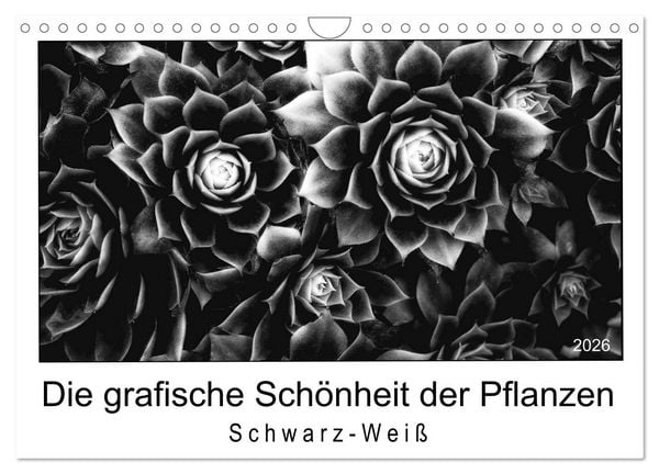 Die grafische Schönheit der Pflanzen – Schwarz-Weiß (Wandkalender 2026 DIN A4 quer), CALVENDO Monatskalender