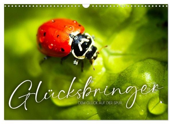 Glücksbringer - Dem Glück auf der Spur. (Wandkalender 2026 DIN A3 quer), CALVENDO Monatskalender