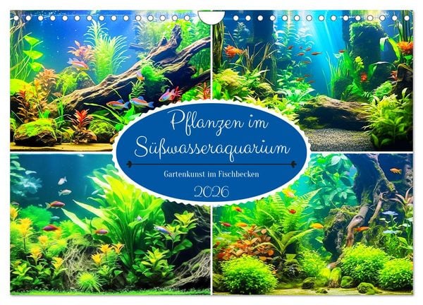 Pflanzen im Süßwasseraquarium. Gartenkunst im Fischbecken (Wandkalender 2026 DIN A4 quer), CALVENDO Monatskalender