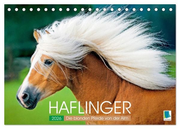 Haflinger: Die blonden Pferde von der Alm (Tischkalender 2026 DIN A5 quer), CALVENDO Monatskalender