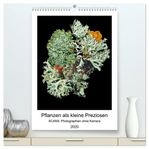 Pflanzen als kleine Preziosen (hochwertiger Premium Wandkalender 2026 DIN A2 hoch), Kunstdruck in Hochglanz