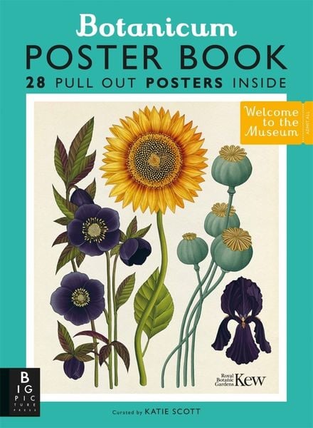Willis, P: Botanicum Poster Book