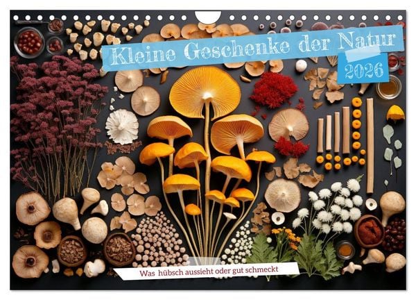 Kleine Geschenke der Natur (Wandkalender 2026 DIN A4 quer), CALVENDO Monatskalender
