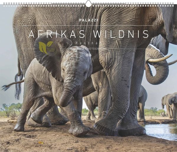 Hautnah Afrikas Wildnis 2026 Bild-/Poster-Kal. 60x50