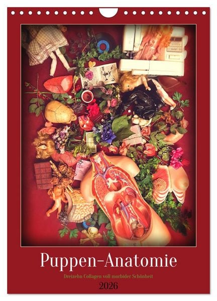 Puppen-Anatomie (Wandkalender 2026 DIN A4 hoch), CALVENDO Monatskalender
