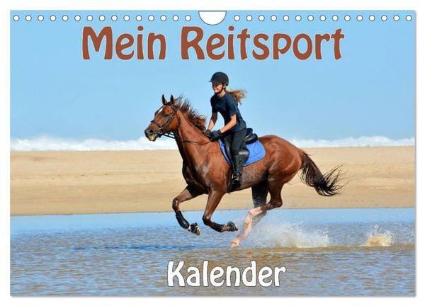 Mein Reitsport Kalender (Wandkalender 2026 DIN A4 quer), CALVENDO Monatskalender