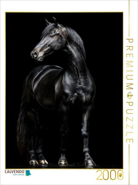 CALVENDO Puzzle Schwarze Eleganz - Pferde Rappe | 2000 Teile Lege-Größe 90x67cm Foto-Puzzle für glückliche Stunden