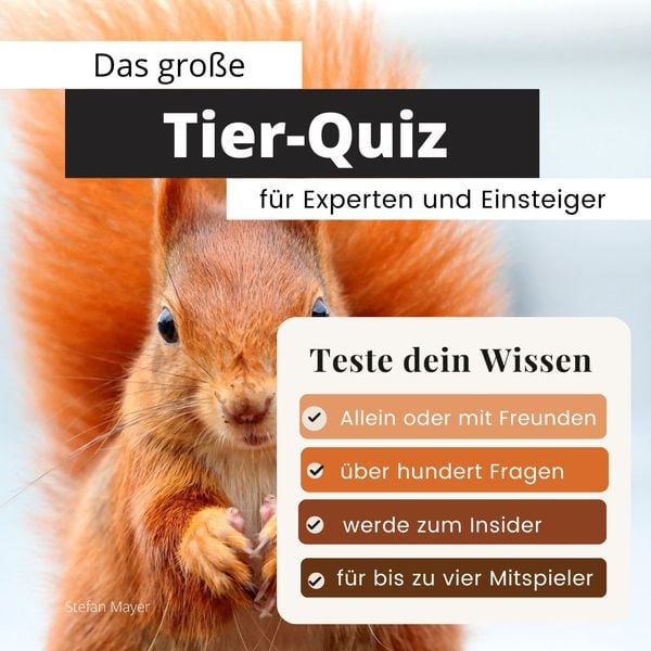 Das große Tier-Quiz für Experten und Einsteiger