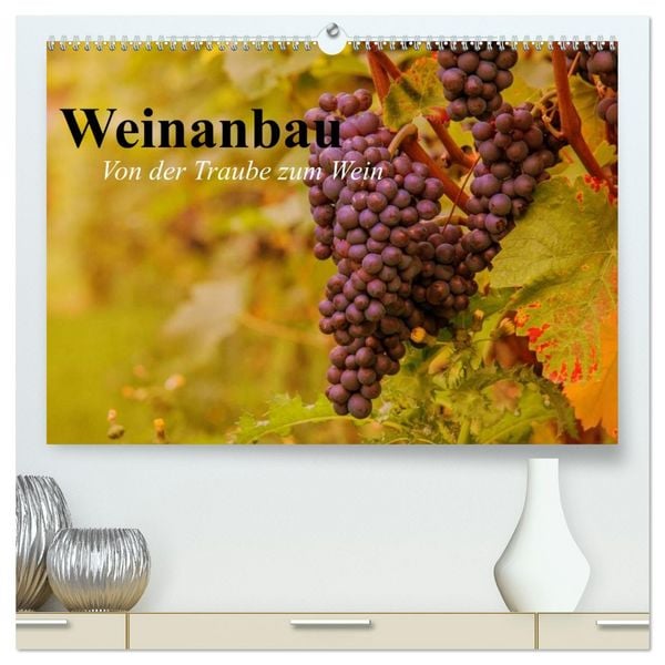 Weinanbau. Von der Traube zum Wein (hochwertiger Premium Wandkalender 2026 DIN A2 quer), Kunstdruck in Hochglanz