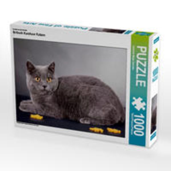 CALVENDO Puzzle Britisch Kurzhaar Katzen 1000 Teile Lege-Größe 64 x 48 cm Foto-Puzzle Bild von Gabriela Wejat-Zaretzke
