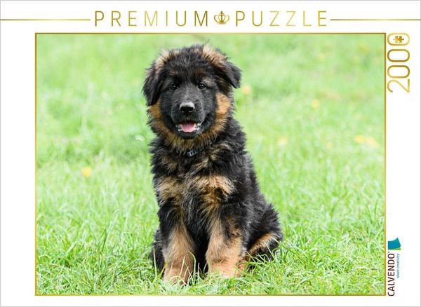 CALVENDO Puzzle Schäferhund - Welpe Langstockhaar | 2000 Teile Lege-Größe 90x67cm Foto-Puzzle für glückliche Stunden