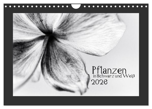 Pflanzen in Schwarz und Weiß (Wandkalender 2026 DIN A4 quer), CALVENDO Monatskalender
