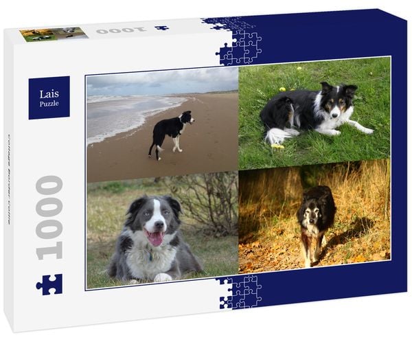 Lais Puzzle Collage Border Collie 1000 Teile